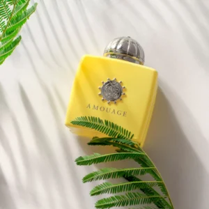 amouage love mimosa edp google search 409.webp