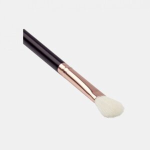 eye20shadow20applicator.jpg