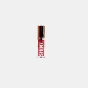 ushas20shiny20lip20gloss204.5g.jpg