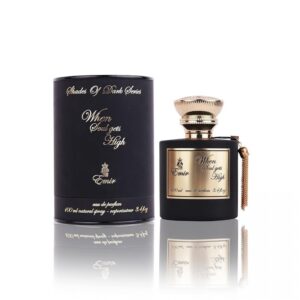 paris corner unisex when soul gets high edp spray 34 oz .jpg